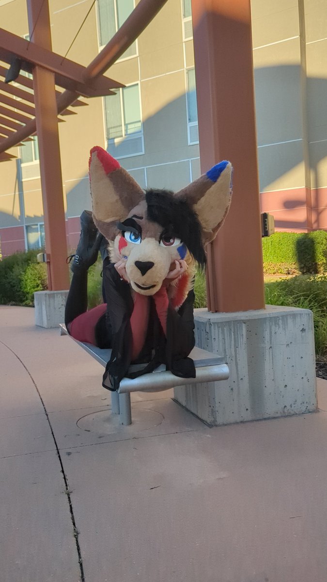 ShakeyLeggyFen's tweet photo. #AWU2026 has been a blast so far!! Here's my Alpha Dinner fit photoshoot!
She/Her pronouns only, no exceptions!
#furry #furryconvention #AWU #fursuit #dress https://t.co/NSPCPYqkmW