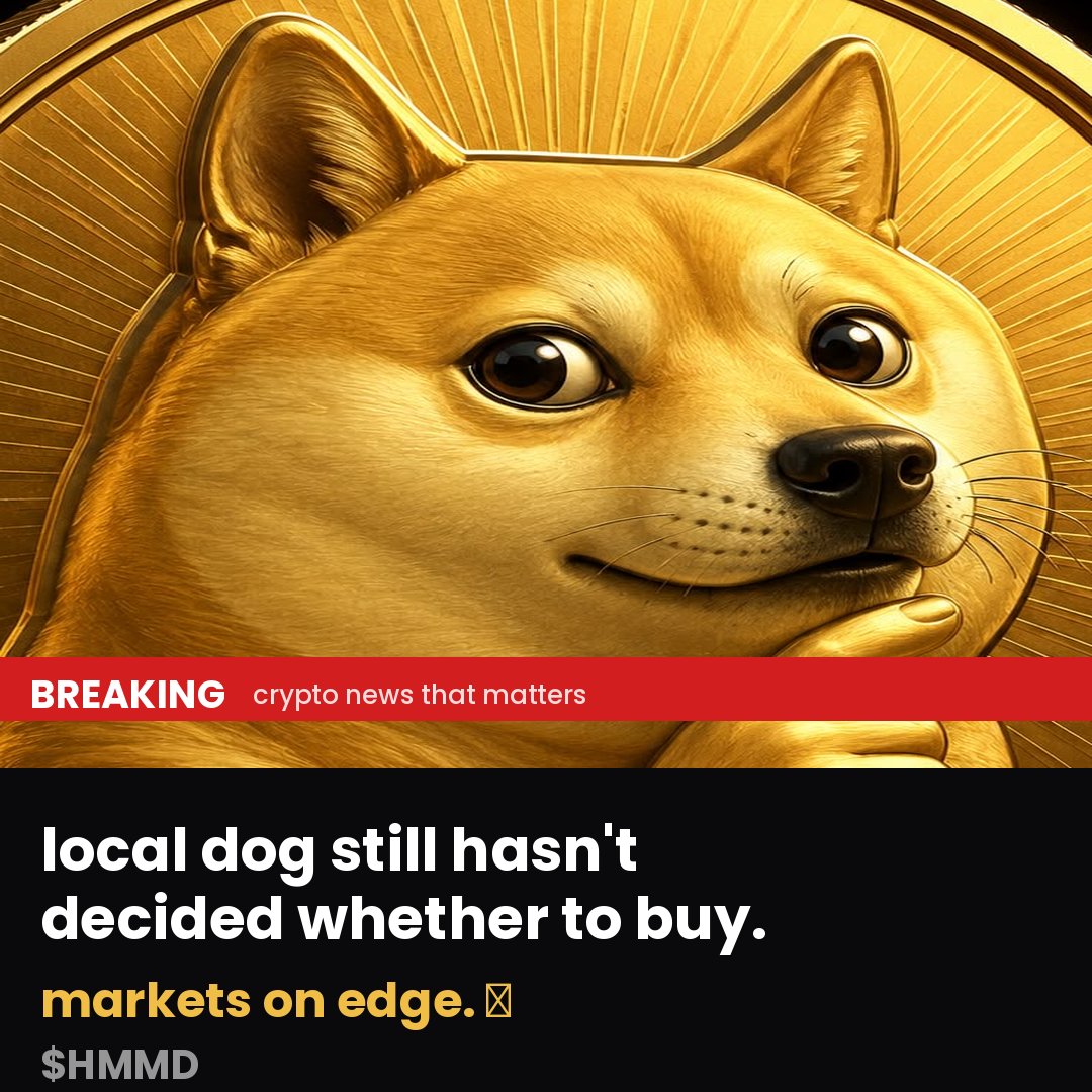 hmmddoge_'s tweet photo. 🚨 BREAKING: local dog still hasn't decided whether to buy. markets on edge. 🤔 $HMMD not live yet, soon 👀 https://t.co/O27z3ki7km