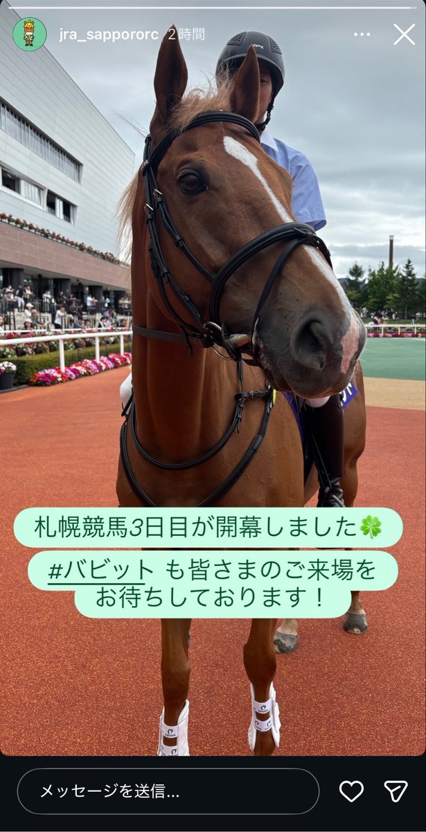 _ishinami_'s tweet photo. バ〜！！
現地の方が上げてるバビットの画像とか動画見てると本当に泣けてくる……誘導馬デビューおめでとう………惚れ惚れするくらい美しい馬だな https://t.co/C7UaiWbSmJ