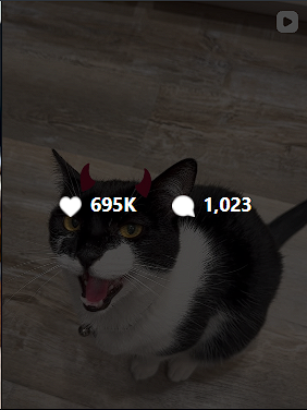 Den_O1_'s tweet photo. I found this mega viral Instagram reel about Shadow the Evil Cat.

It has 700k likes within the day and Shadow's laugh gets more and more evil as its slowed down, he is literally the Evil Cat.

7 Million Views, 700K Likes and it's only 1 day old!

https://t.co/TQSBtxbmx5 https://t.co/NeuaWejjgI