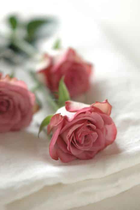 AMwsy53010's tweet photo. @msd804248632378 https://t.co/UDL1W5jlwF