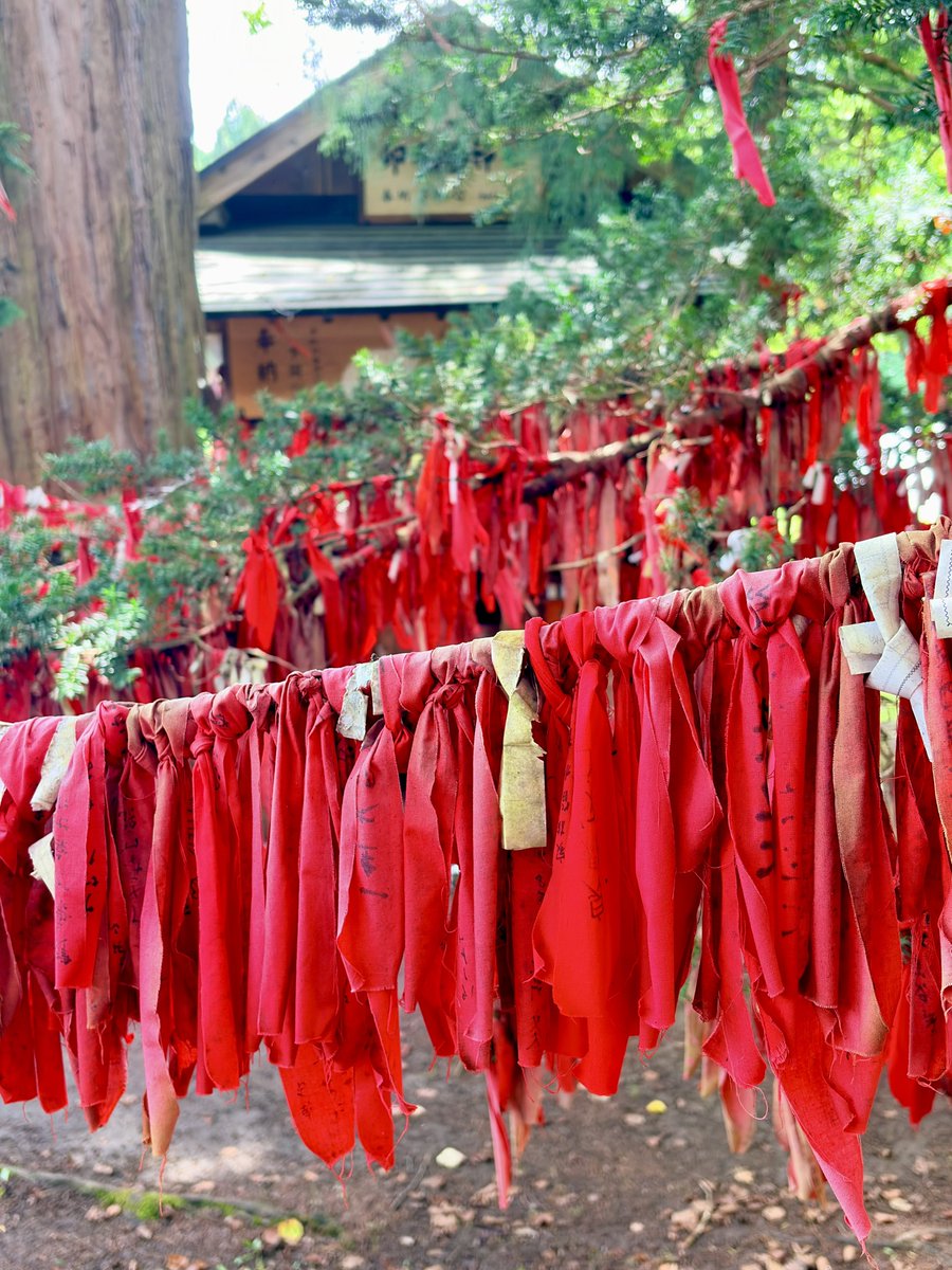 runuru's tweet photo. 卯子酉神社 https://t.co/OjEqFBsdx1