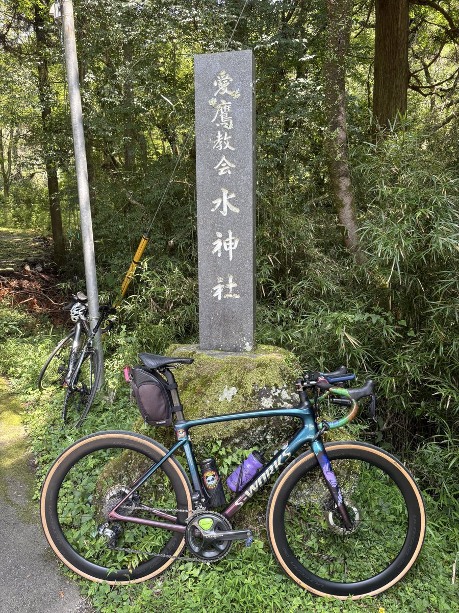 pandaxaurus's tweet photo. 涼みに水神社。お水を恵んで貰って生き返る(^^) #kittenracing #沼津水神社 https://t.co/k2G2eDjK4r