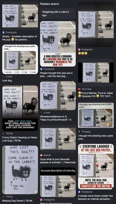 Zeeko__Dev's tweet photo. This is amazing 🤣

A dog named "Chewy" is currently going viral af after going missing with thousands of sketches being stuck everywhere searching for him 🤣

The meme has exploded all over X, FB, Reddit, IG and more

This is too good not to send

Name proof: https://t.co/WGoQnaQkoD