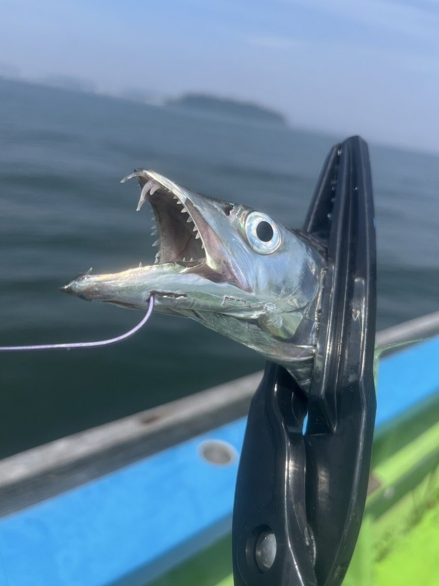 MurayuFishing's tweet photo. 4ヶ月ぶりの釣り🤩

夏ってこんなに暑かった？？🥵 https://t.co/Nx9AxgiXgh