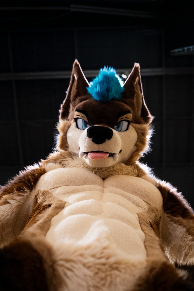 AlpineAskee's tweet photo. What are you doing down there? 📸:@RushyWuff https://t.co/QqJp3nuBcz