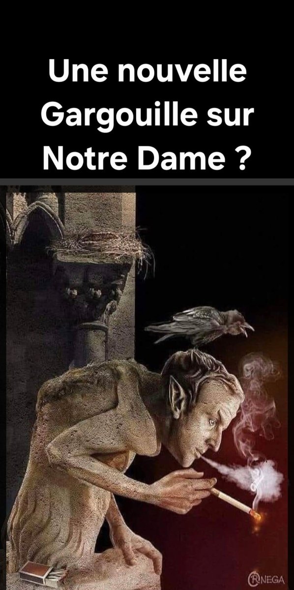 luckasdelille59's tweet photo. Après les vitraux une nouvelle gargouille à Notre Dame 👿 https://t.co/vUWzgOqshq