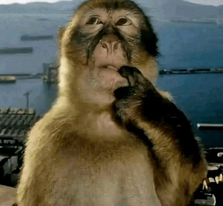 sukuti_p's tweet photo. 근데 나보다 니가 더 나대지 않니? https://t.co/gcsRlRlNcE