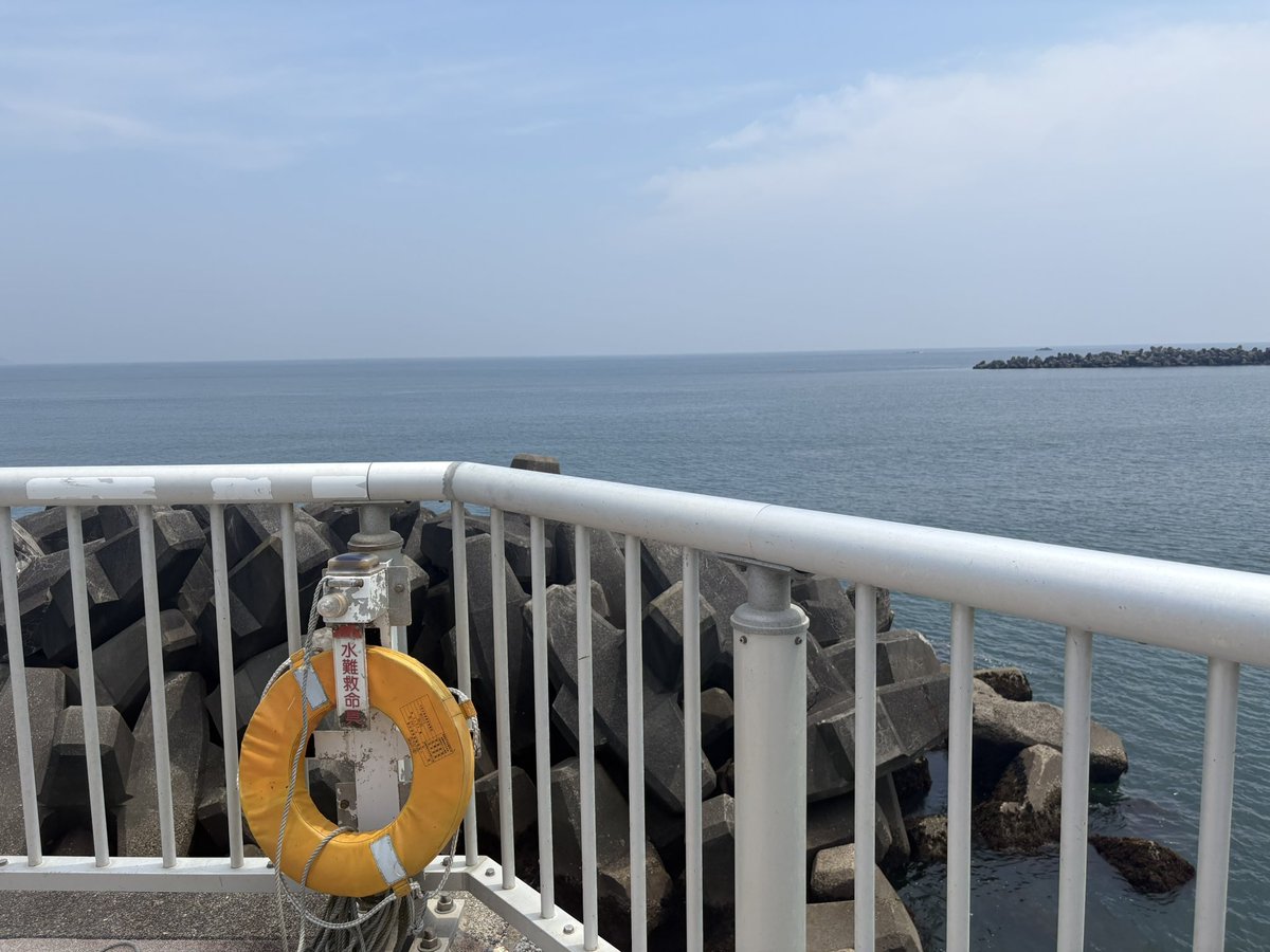 redfrog_note's tweet photo. 山はクマが怖くて行けないので
海を歩いてきました。和田浦という駅を降りてひたすら海沿いの道を3時間かけて鴨川駅まで。エゲツナイ暑さでめまいがして危なかったです。この時期はお勧めしません https://t.co/02hg1mr38J
