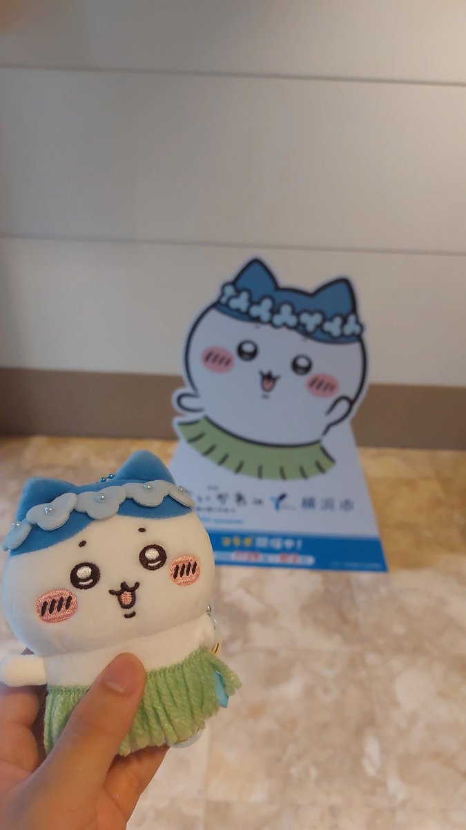 r_yu_ryu's tweet photo. 撮ってきたよ！
#ちいかわ https://t.co/GkrYlCR3fv
