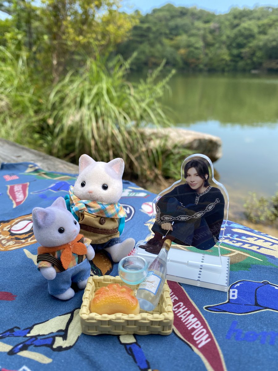 412117sho's tweet photo. 今日 ハイキング行ったんだけど 岩本さんはもちろんで 「あ!ラウちゃんはピクニックだったね」と思い出して一緒に行って来ました😊
暑かったけどウチのラテねこ兄弟も一緒に池畔で涼んだよ🐱
#goingwithsnowman https://t.co/rX82MwMvbw