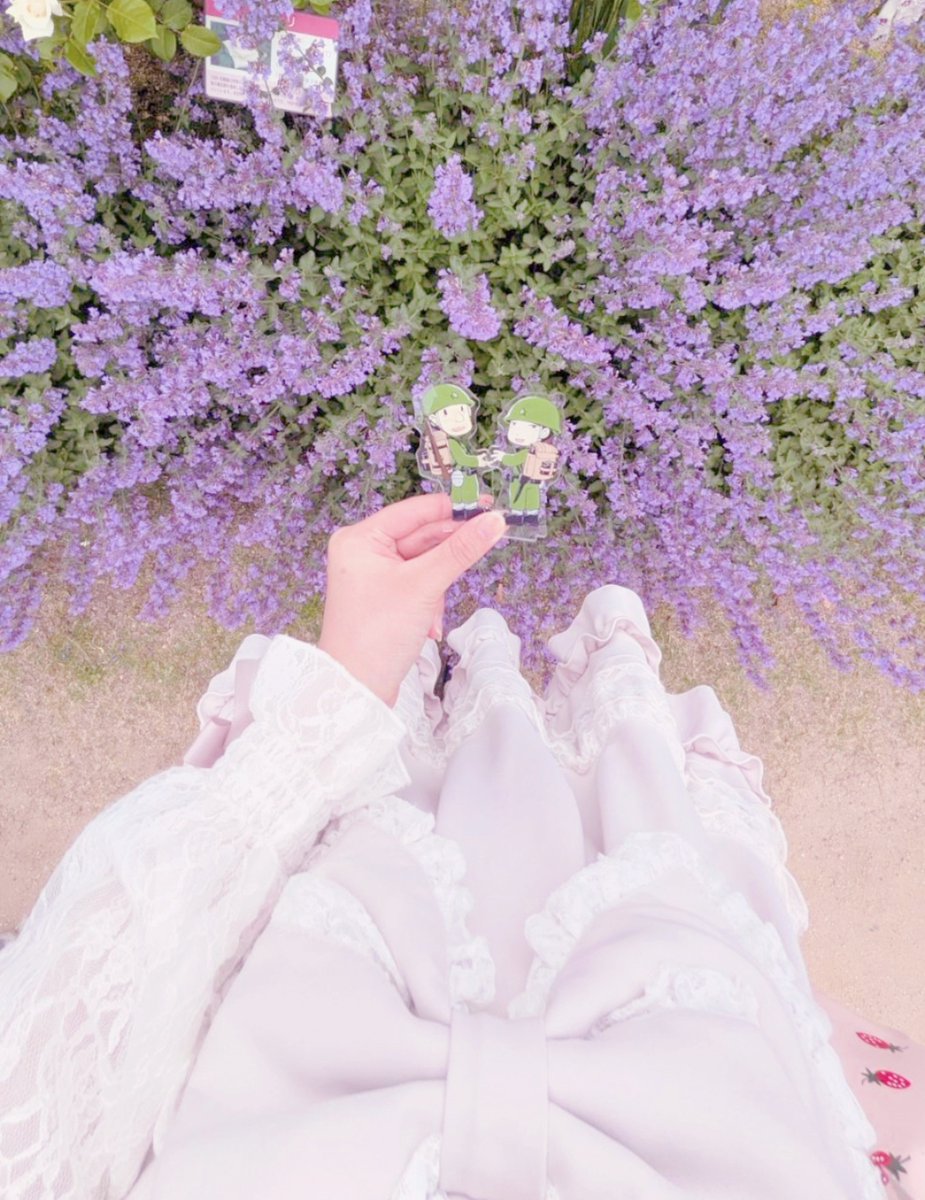 Rezyarnd9's tweet photo. バラ園行った時の( ﾉ ̫<｡ )♡ https://t.co/k5LeKOfX2v
