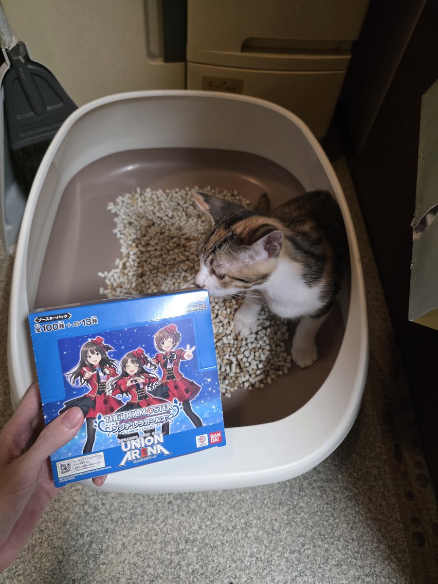 RenboRainbow's tweet photo. うんこ隠してるとこすいません
箱争奪戦優勝しました。
結果上振れたってのもあるんですけどしっかり回せたかなって感じなんで上手だったと思います。 https://t.co/2pVnOr4TIN