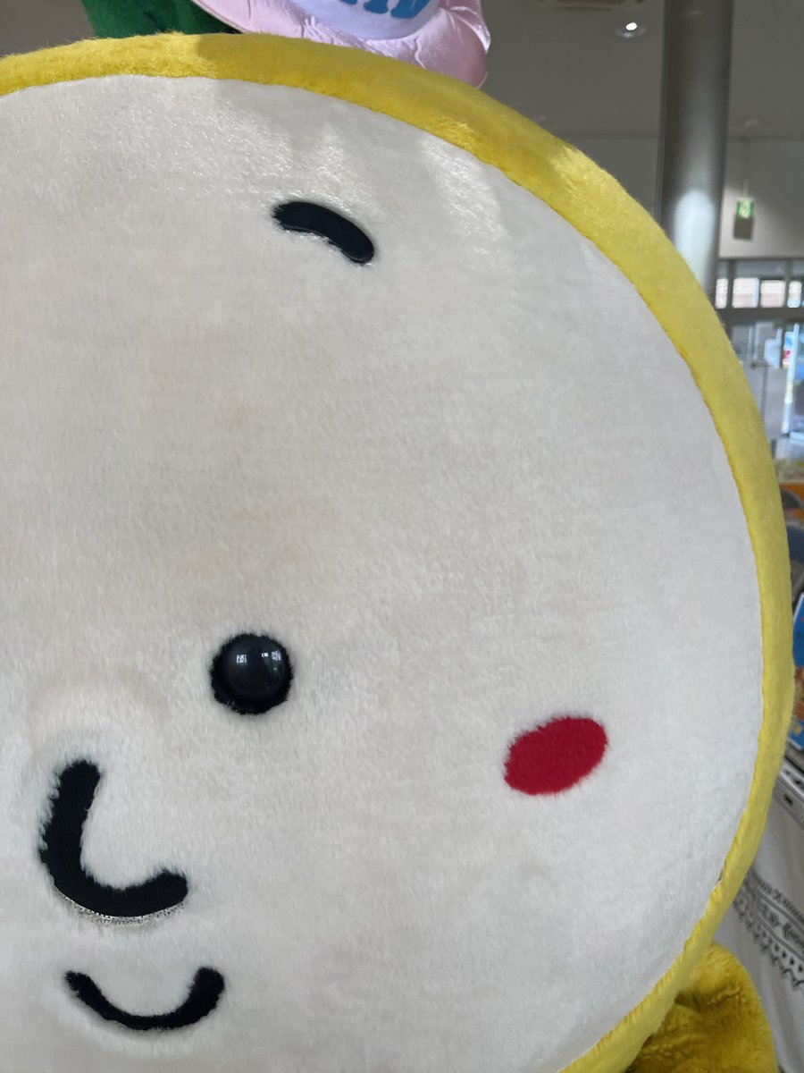 sepatakutv's tweet photo. 進撃の、、、！！！

お誕生日に
大サービスありがとうございます😊😊 https://t.co/vabLkEiDER