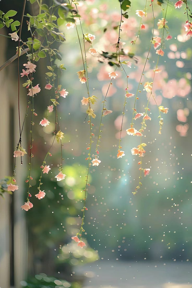 naturehollic's tweet photo. Adorable Nature 🫧🍃🍀 https://t.co/cMYlMqRYWP