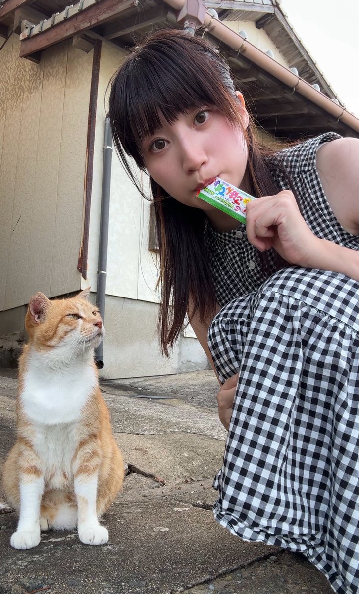 酒村ゆっけ、 (@yukke_SAKE) / Posts / X