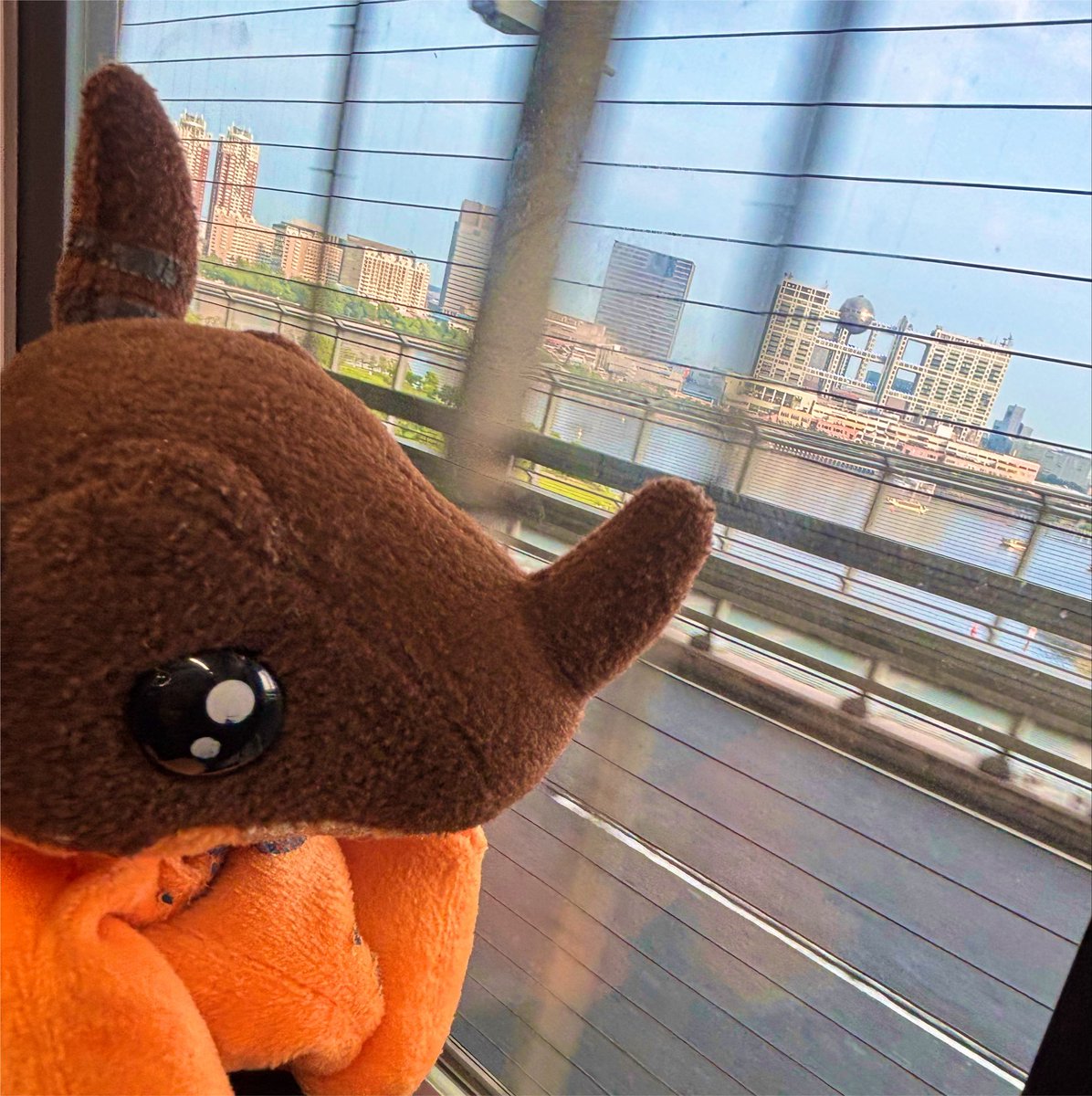 aaaaaaappon's tweet photo. 行きも帰りも恒例の光司にぃやんの歌声をを聴きながら☺️
毎年空の上から見守ってくれているような気がしている🦋

来年もまたこの場所で🦋*ﾟ

#お台場メモリアル
#デジモンアドベンチャー
#はちぶんのいち
#はちいち https://t.co/ovdU7sSXC5