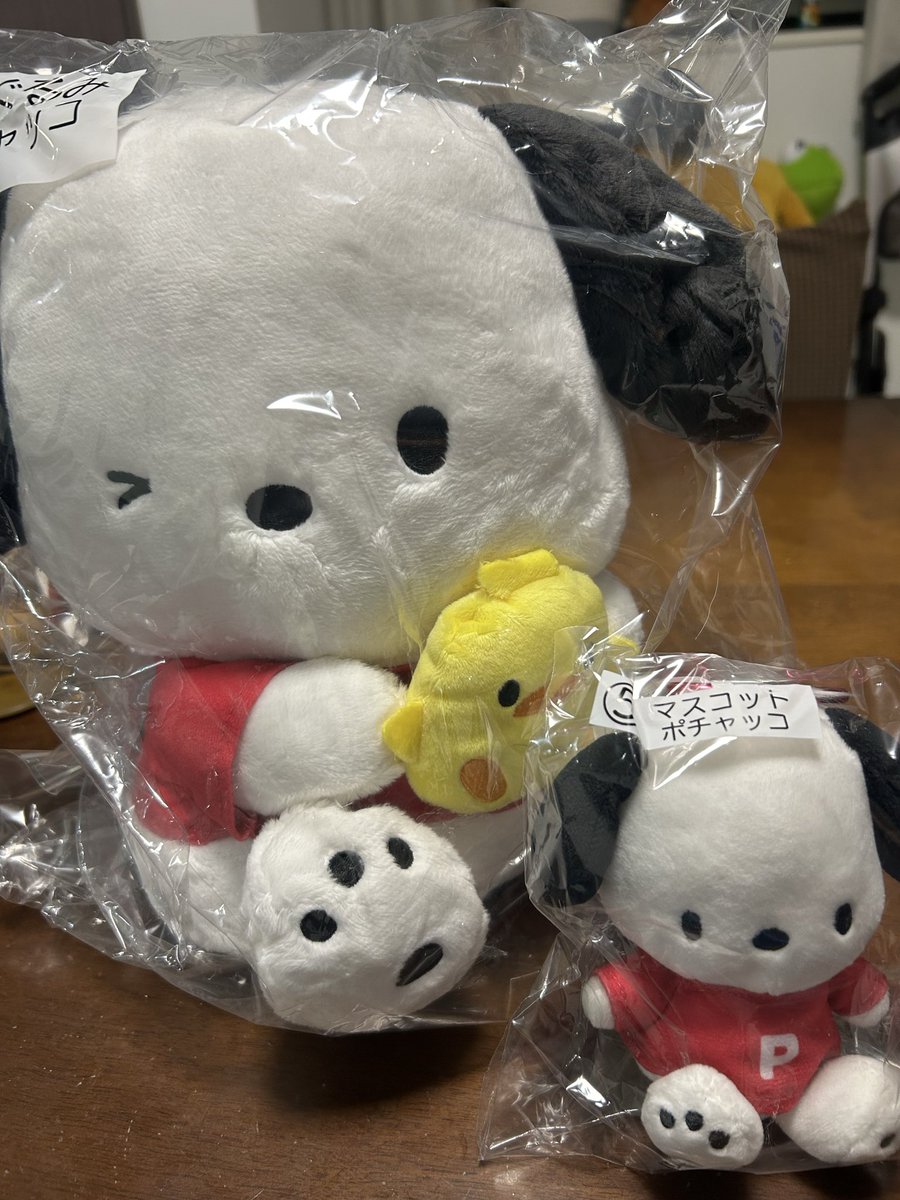 eojkk5's tweet photo. ポチャッコ　ペックル　くじ　交換

譲 ②ぬいぐるみポチャッコ
　⑤マスコット　ポチャッコ
求③ ぬいぐるみ ペックル
　⑥マスコット　ぺっクル

郵送交換希望です！
検索からでもお気軽にお声掛けください！ https://t.co/THHpDcsPNQ