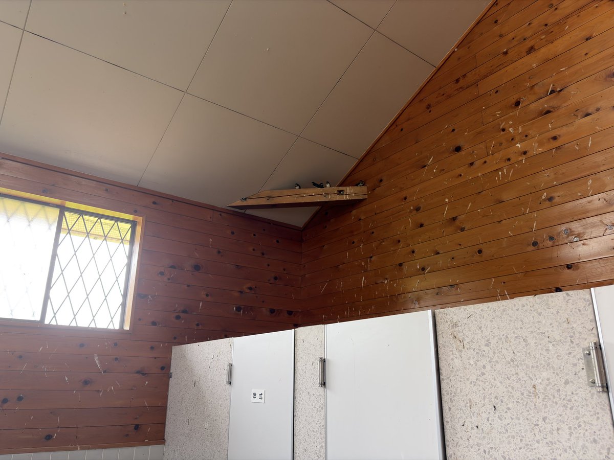 C_Rabbit404's tweet photo. トイレに住むな https://t.co/xmIXK36jTc