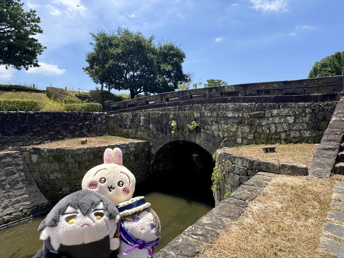 ぬぬぬ on X: 