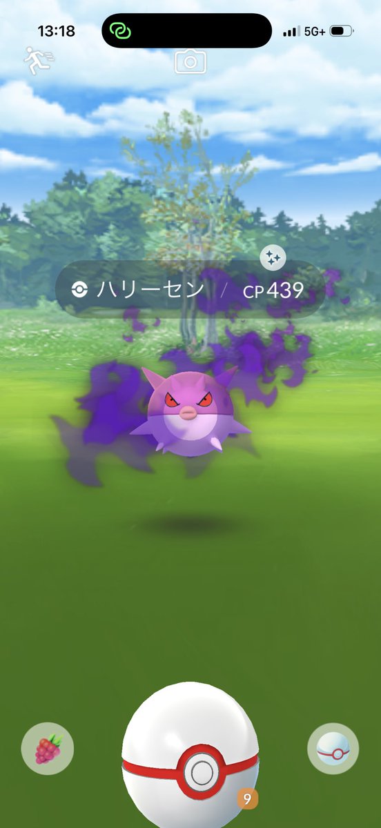 るさ@Pokémon tweet media