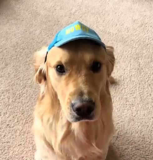 YoungMulla2018's tweet photo. Yooooooooo

tomorrow is August.

dog month starts tomorrow and i just found a dog named August 😭
https://t.co/GyY9tdfDfO…

this has to run. https://t.co/QnGnFCJGaK