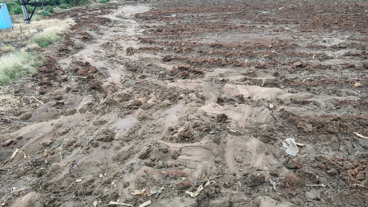 GangadharHasiru's tweet photo. Overflowing #HNValley sewage water breached lake bund eroded fertile topsoil &amp; washed away manure, causing severe damage to agricultural fields. This is the ground reality for farmers surrounding water bodies across C.B.Pur. @CMofKarnataka
@PMOIndia @DCChikkabalapur @ceozpckbpur https://t.co/icIMMwrOvs