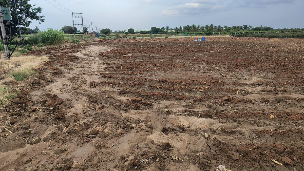 GangadharHasiru's tweet photo. Overflowing #HNValley sewage water breached lake bund eroded fertile topsoil &amp; washed away manure, causing severe damage to agricultural fields. This is the ground reality for farmers surrounding water bodies across C.B.Pur. @CMofKarnataka
@PMOIndia @DCChikkabalapur @ceozpckbpur https://t.co/icIMMwrOvs