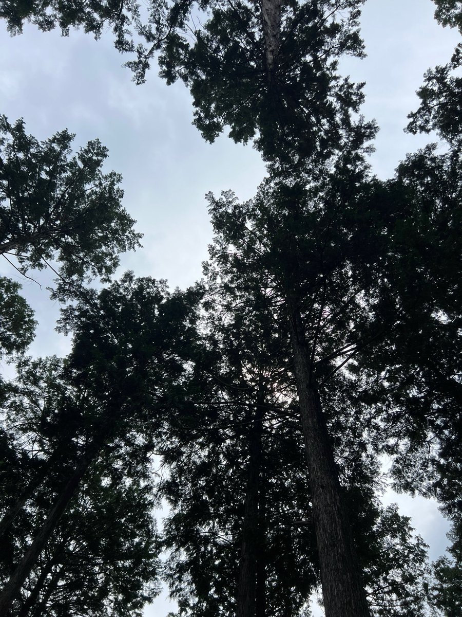 trektrek10's tweet photo. 無性に⛰️行きたくなりました。
きっと⛰️なら痛めた心の傷も癒してくれるはず😂
先日、知人から何故今さらダイエットなんだ❓と聞かれました。理由は様々ありますが、登山もその一つ。
今まで、25年間、仕事ばかりできましたから。これから先の人生は仕事だけでなく、自分の夢や目標を叶える時間にしようと思っています。
このアカウントもいずれは登山や他の夢ばかりの内容になるかもです👍
いずれは、仕事を抑えつつ、収入源を複数確保しながら、海外の登山も行こうと思います😀