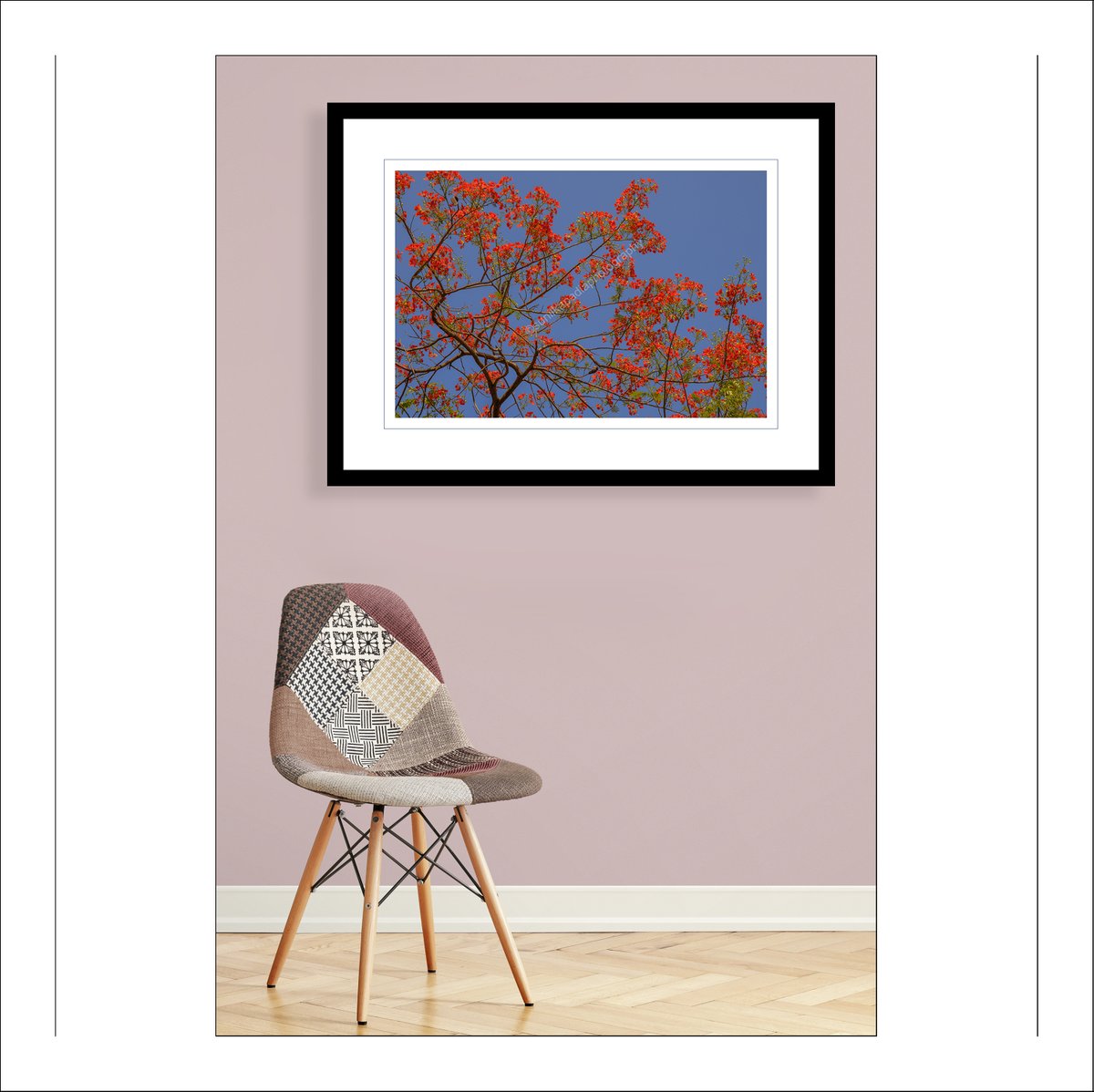 SunilKapadia19's tweet photo. _DSC3187 Hue Euphony
Buy This Photo Art Print
#hue #euphony #color #colorphotography #nature #naturephotography #colornature #colornaturephotography #floweringtree #Gulmohurtree #red #orange #Gulmohurflowers #blooms #blue #sky #Banuesh #Pune #Maharashtra #India #photooftheday https://t.co/eb4shsiHwD