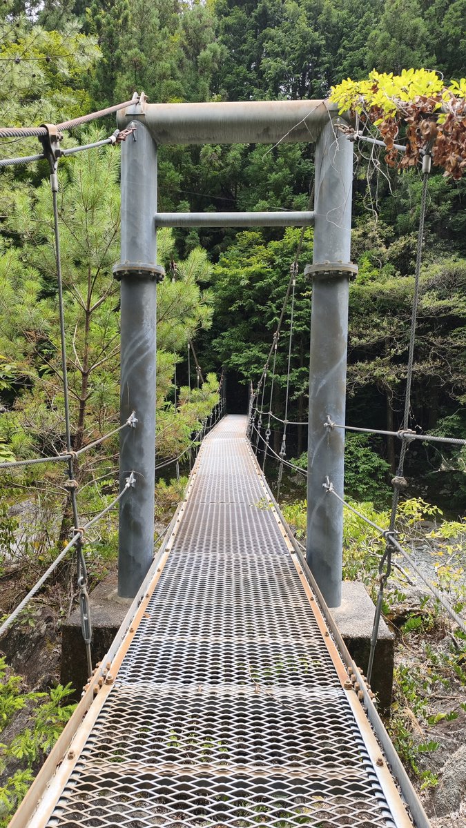lonkimoossan's tweet photo. 朝フェリー乗ってからの午後別子山
川沿いは涼しい気がするけど、別子山の街中（？）辺りは普通に暑いです🫠
結構山の中なんやけどなぁ🤔

あとこの吊り橋なんかクニャクニャ曲がって見えるけど、歩いた感じもクニャクニャ😂 https://t.co/GOtPLoqyKb