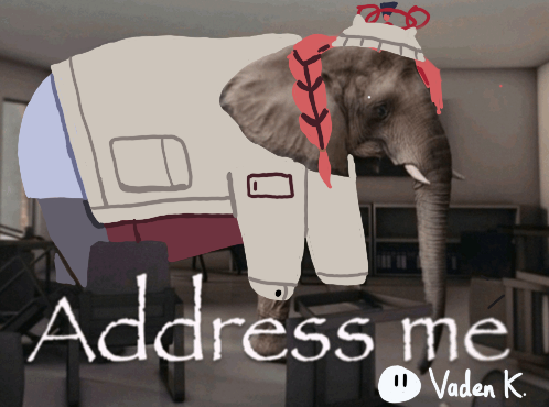 Vaden K. tweet media