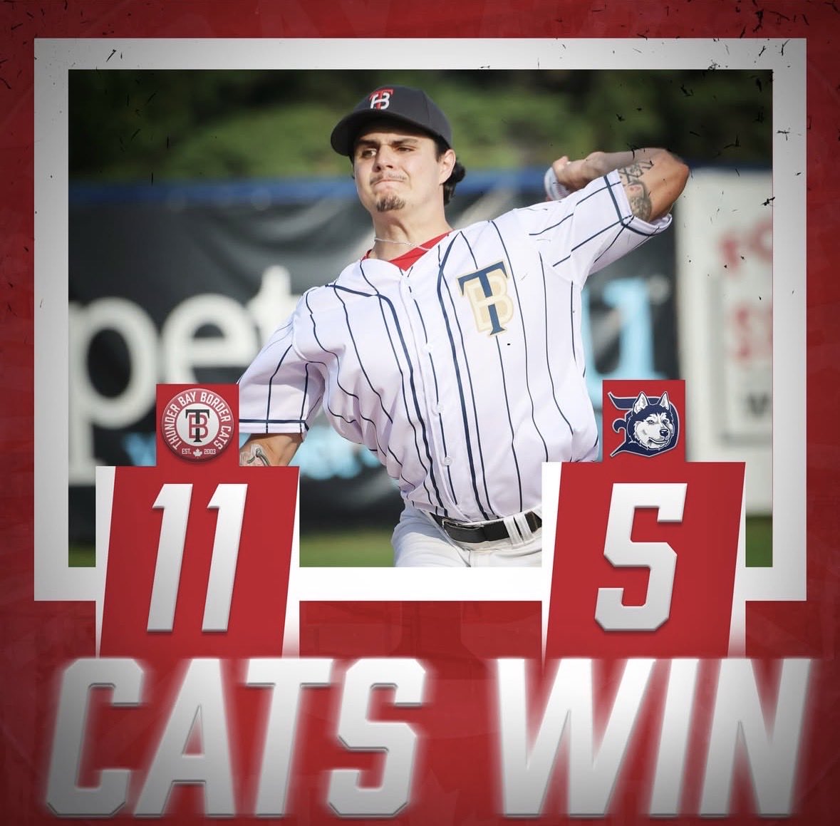 TBBordercats's tweet photo. CATS WIN‼️ CATS WIN‼️ 

#GoCatsGo | @NWLbaseball https://t.co/3J769F5zZW