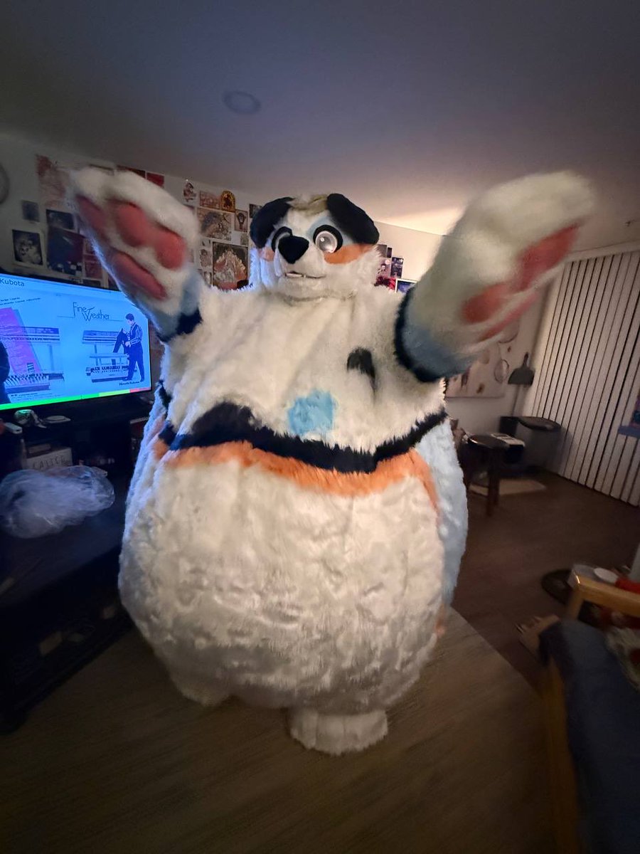 bigbeaniedog's tweet photo. His joyful swagger 🐶😈 https://t.co/TIR7FnpNKa