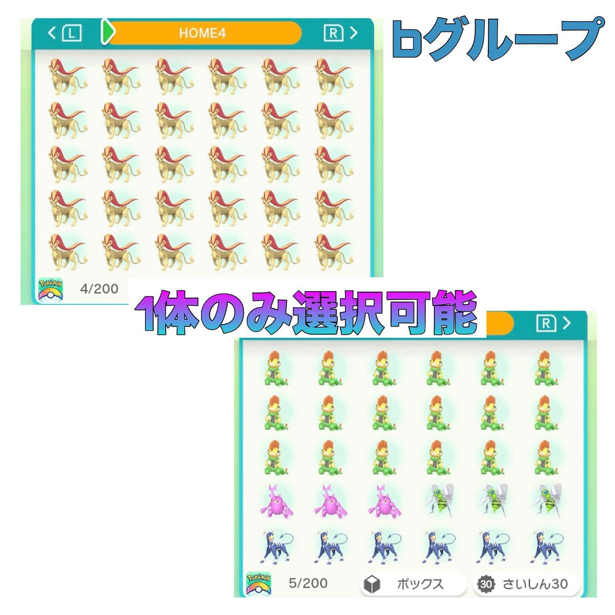 ビビ tweet media