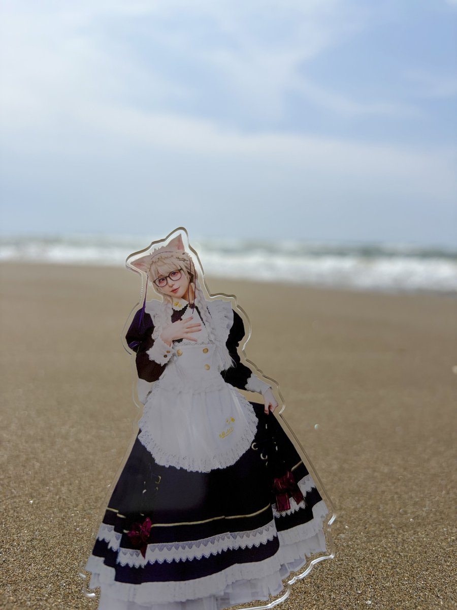 tyu__ruu's tweet photo. 猫さん海だよ
 #猫さんみてみて https://t.co/iqG5bLPQsd