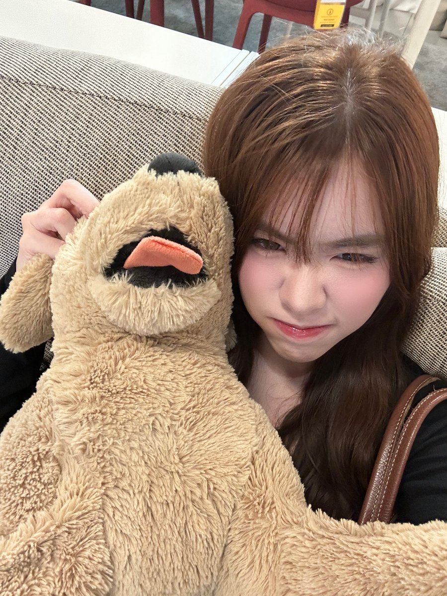 aim_natkritta's tweet photo. ตุ้กตาหมาน่ายักง่ะ #aim_natkritta https://t.co/fyYLAvDtQ9
