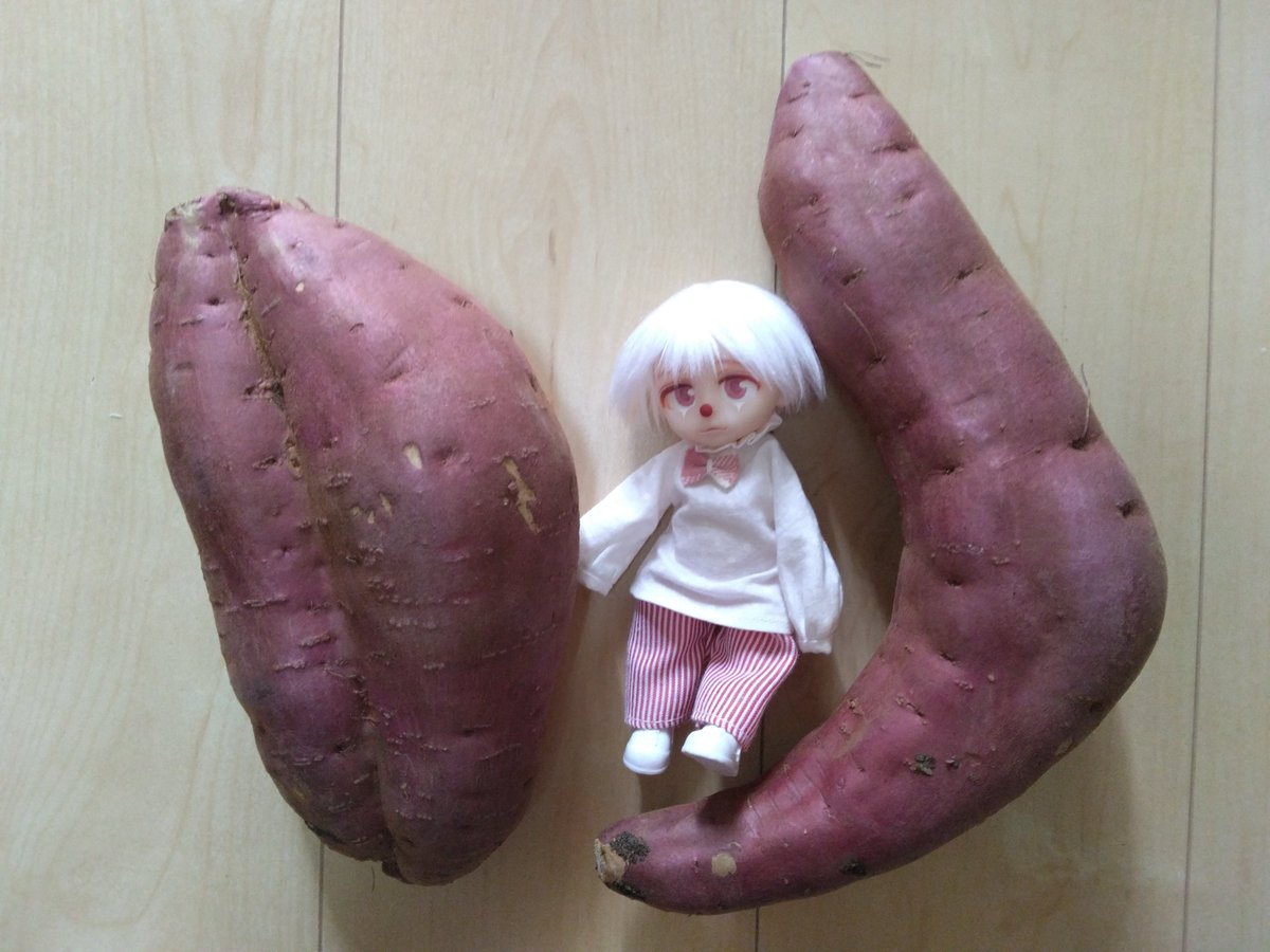 maple_doll_kuma's tweet photo. これは芋のサイズ比較に使われるカシオ
（色の親和性が高い） https://t.co/oa7j42JrdT