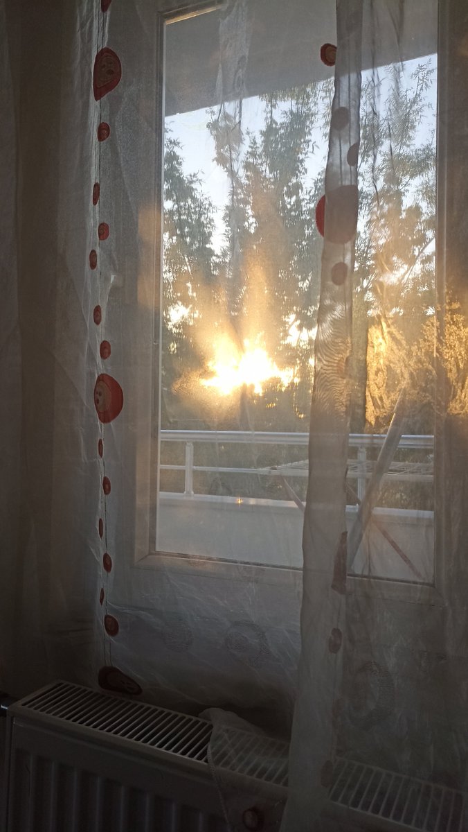 _sira5854's tweet photo. İyikilerinizin çok olduğu,harika bir gün olsun..

Günaydın Cumartesi 🌸☀️ https://t.co/NFNRLDVvUj