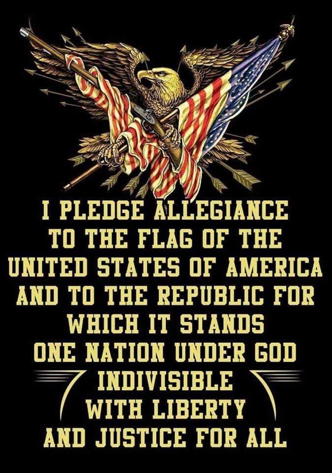 🇺🇸 Jingo 🇺🇸 tweet media