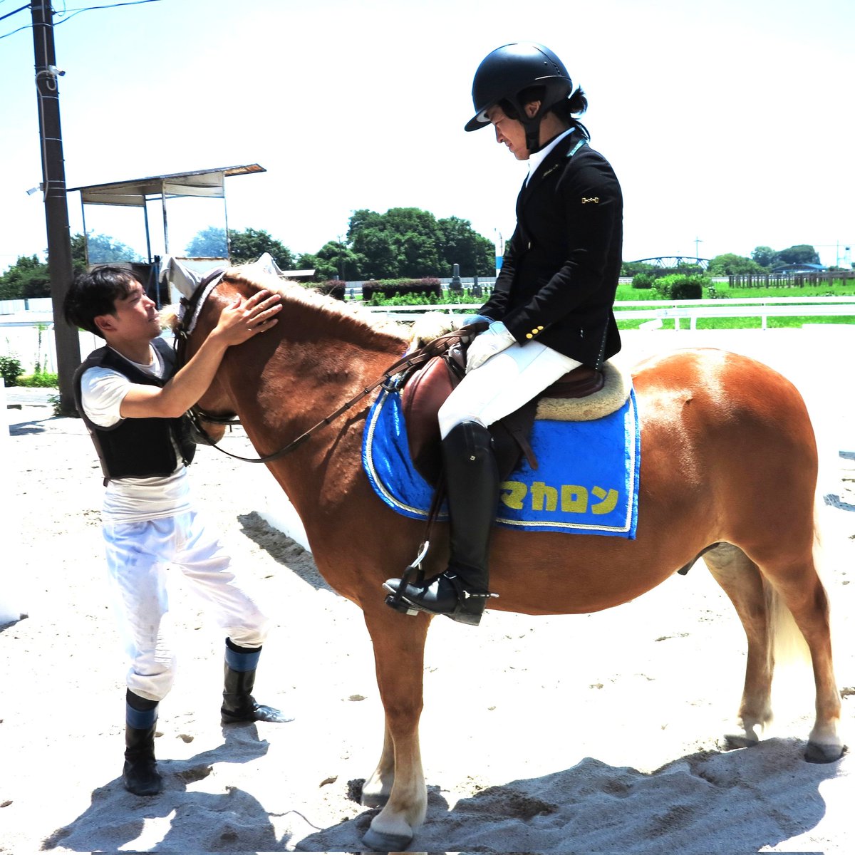 yokohama3982111's tweet photo. 細川智史騎手、
笠松では心優しい好青年🤩
マカロン君に「お前かわいいな」と
抱きついていましたよ😀
#笠松競馬
#細川智史
#マカロン
#名古屋競馬
#ダービージョッキー https://t.co/zJSvVJDGhB