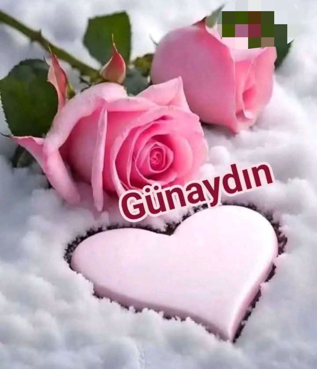 Hacrr9's tweet photo. @Sevda59294478 https://t.co/BakJFqRVou