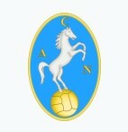 PalloneBucato's tweet photo. 1/8/1926:da quel primo giorno ne sono passati 100 anni, da #Pelvi a #Canè,da #Minter a #Sivori e #Zoff,da #Taglialatela a #Maradona e da #Careca a #Savoldi, #Insigne e #Mertens,ora c'è #McTominay ma sono tutte pagine di una favola che unisce la città e la squadra. Auguri,#Napoli! https://t.co/ZYlPwiz6dV