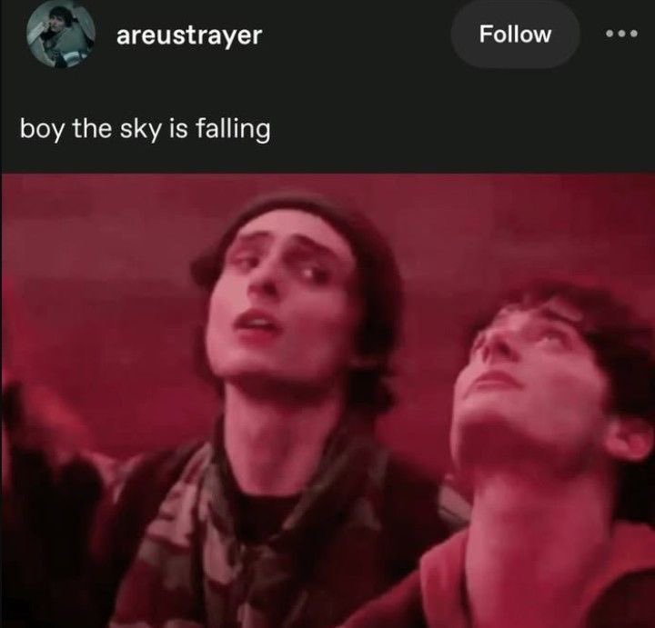 boiwheeler's tweet photo. boy the sky is falling https://t.co/Gd1uvsDw0W