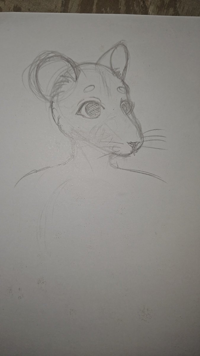 Panconqueso8999's tweet photo. I was bored and kinda going furry rn

Idk how to feel but it's looking good... ig(? https://t.co/YAZKNbR1dg
