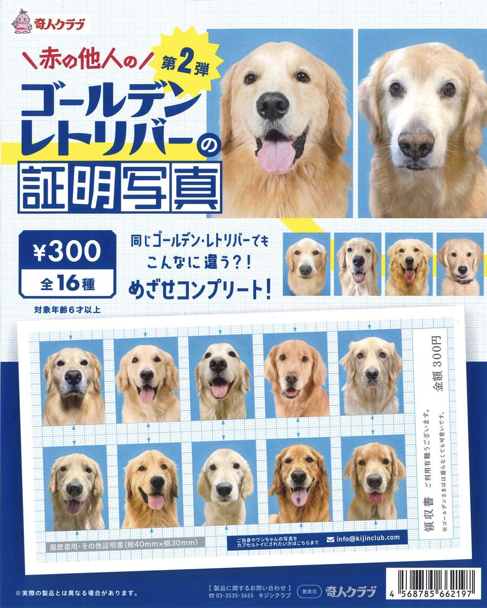 超レア‼️キティ マスコット ネームタグ付き ゴールデンレトリバー 犬 C-pla イオンモール熱田店【公式】 on X: 