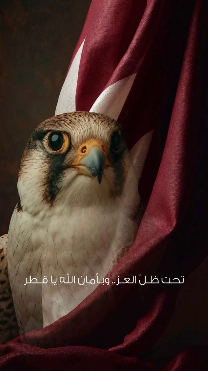 zeknon's tweet photo. اعتقد نجحت #اسرائیل في استفزاز المنطقة بادخال #السعودية في المواجهة و #مصر في ازمة الطاقه والمواجهة مستقبلا و كل هذا بعنجهية #ايران 
اللهم اضرب الظالمين بالظالمين واخرجنا من بينهم سالمين 
اللهم احفظ #قطر ودول الخليج https://t.co/I4LOtYOR0h
