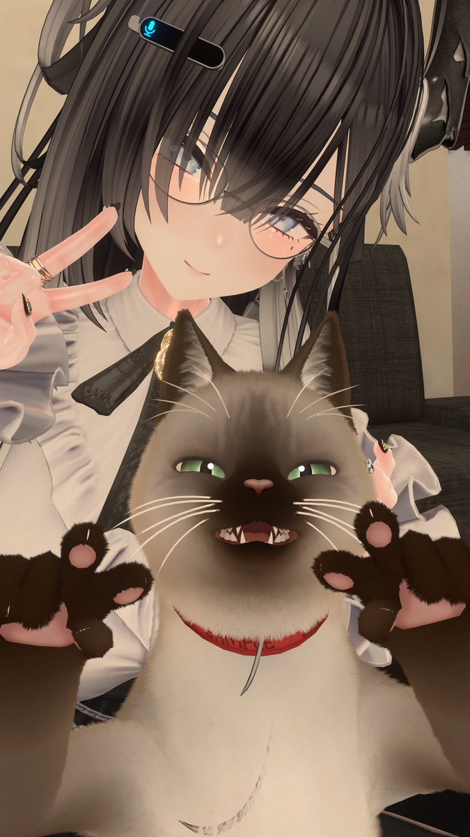heicyo's tweet photo. 今日でお砂糖一周年！いつも一緒に楽しく元気にやってます！！ https://t.co/rMDmSNFsey