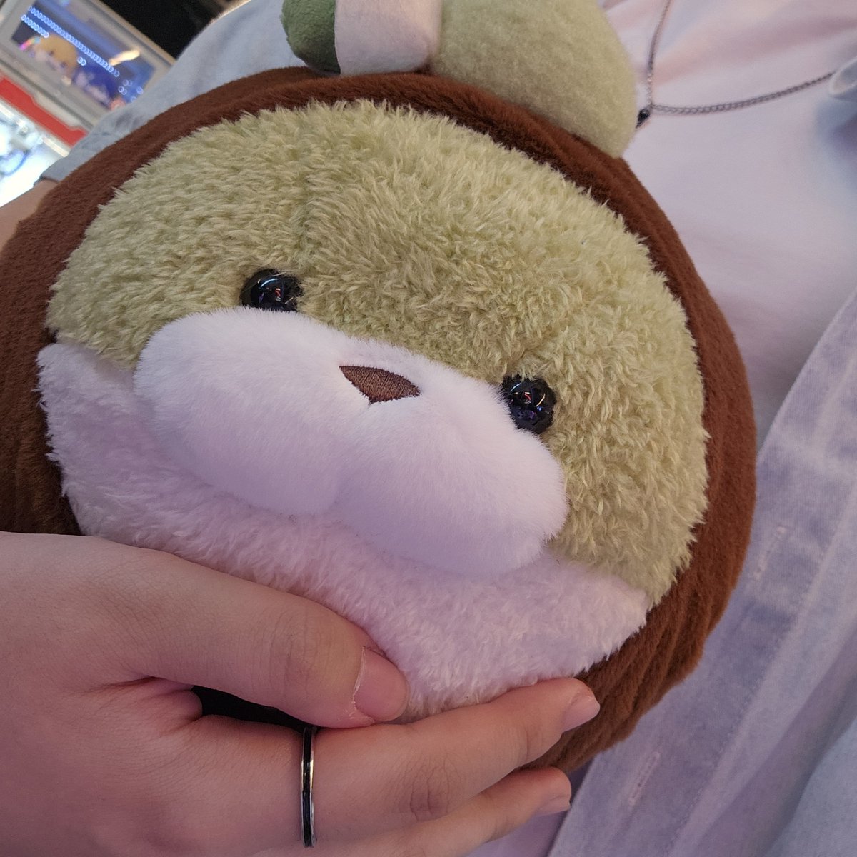 Yu_sIa729's tweet photo. 어제 양 손에 사이좋게 최씨들을 끼고 집으로 귀가했습니다 https://t.co/On1pkXtF2W