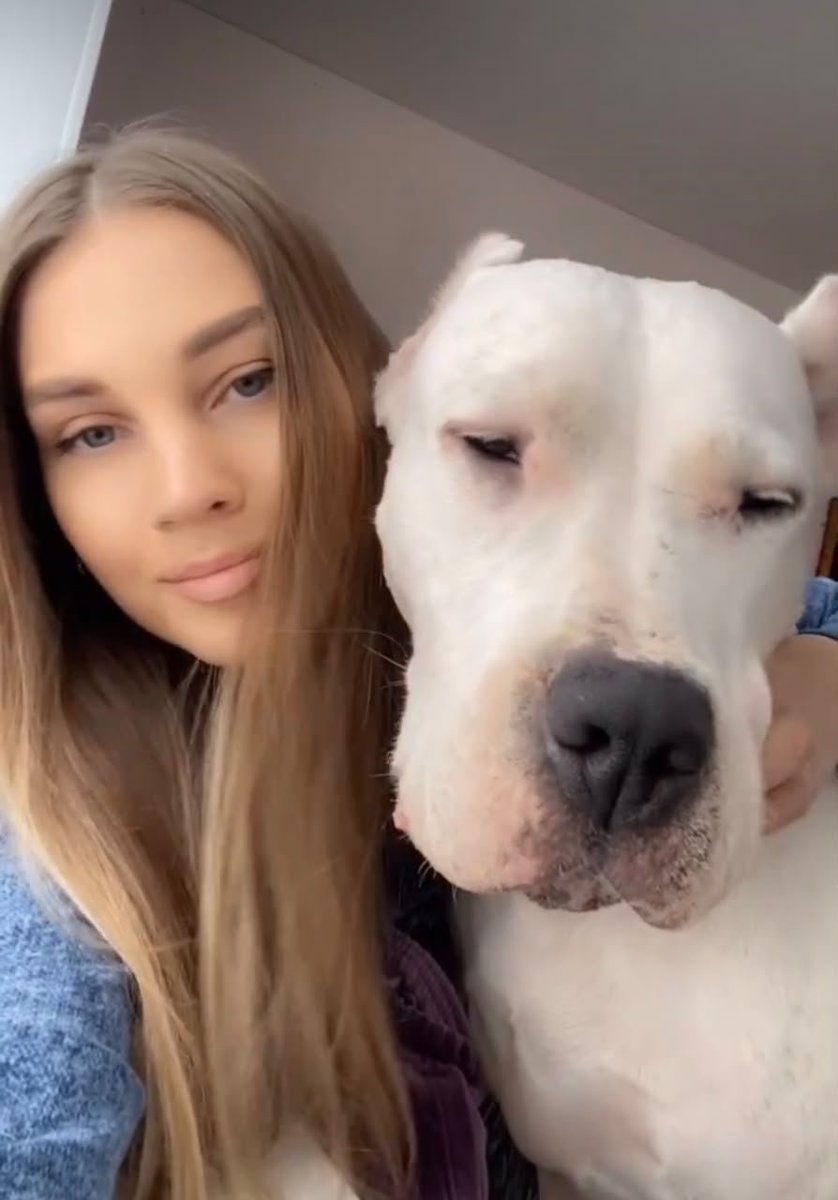 karak9_'s tweet photo. It hits different whenever me and my pup🐶 comes together.
Watch all my recent records on telegram @ https://t.co/o7lLtlnPdo
Enough content to ease ur curiosity🤤

#beastality #knottygirs #zoophillia #zoosarevalid #beastiality #dogknot #zooprideisvalid #hypnotistzoophilesareval https://t.co/4xLzzjvMWH